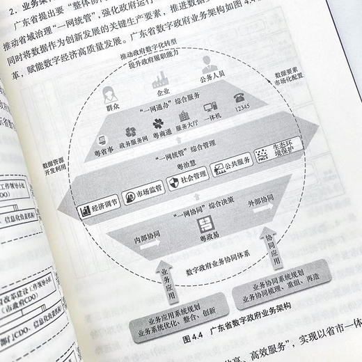 新时代数字政府建设：使命、发展与未来 莫宏波著数字化转型 商品图3