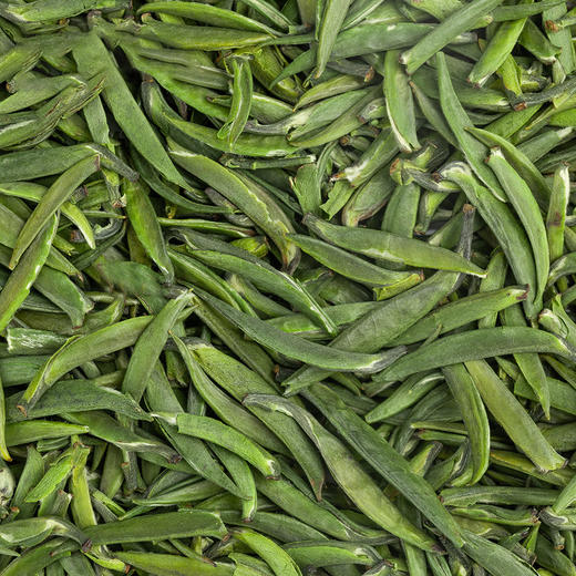 醒世茶业丨小龙芽 宜宾早茶 四川绿茶 明前特级 50g/100g 商品图2
