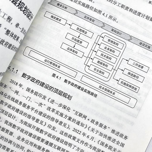 新时代数字政府建设：使命、发展与未来 莫宏波著数字化转型 商品图4