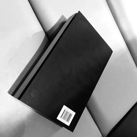 《昌耀年谱》中国青年出版社 商品图1