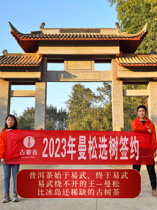 【曼松】2023年春茶重磅升级今年只采王子山片区1200年古树纯料古时贡茶片区 商品图8