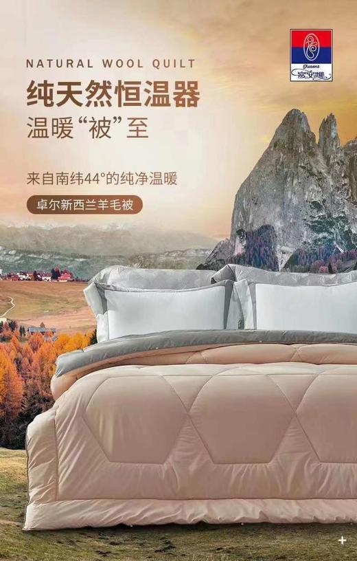 南5楼富安娜新西兰全羊毛被 商品图0