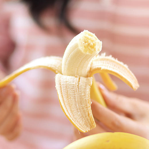 【发货后不支持申请退换】【吃了还想吃的天宝香蕉】树上熟 无农残  不打除草剂  不打膨大剂   自然生长  两千多年种植历史 商品图8