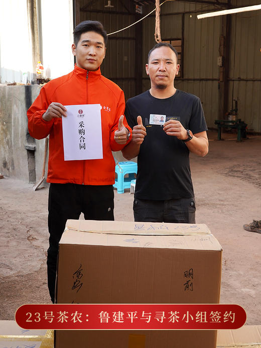 【曼松】2023年春茶重磅升级今年只采王子山片区1200年古树纯料古时贡茶片区 商品图2