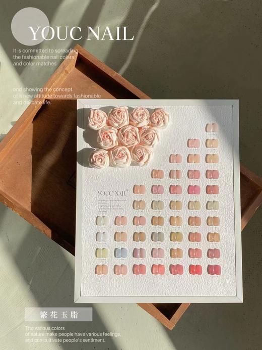 【秒杀价】繁花玉脂 48color 商品图4