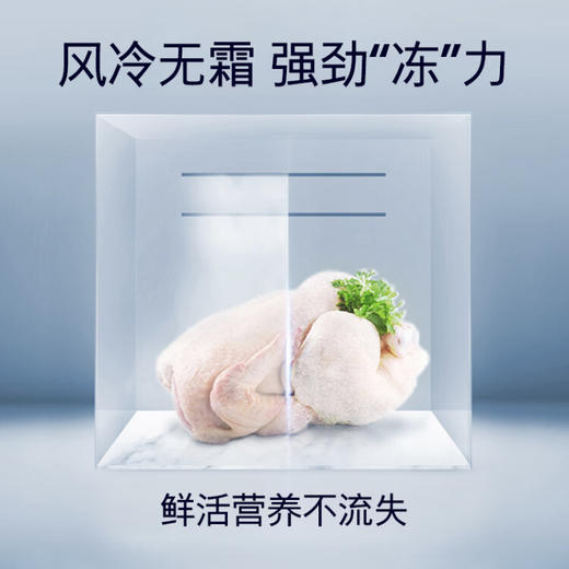 西门子（SIEMENS）630升家用大容量对开门变频恒鲜冰箱双开门 精准控温 风冷无霜 独立双循环 KA98NV143C 商品图4