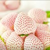 淡雪奶油草莓（斤） 商品缩略图0