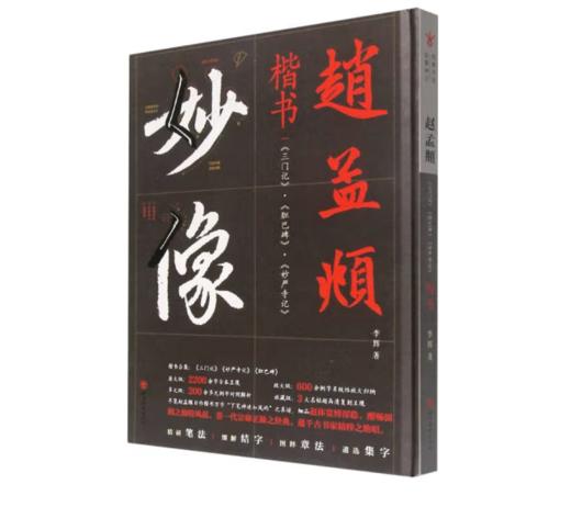 《经典书法临摹研习：赵孟頫楷书《三门记》《胆巴碑》《妙严寺记》》 商品图0