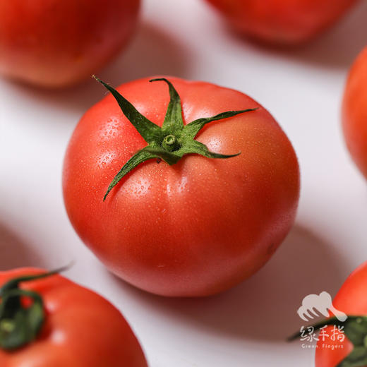 生态西红柿（沙瓤，包邮） | 绿家自产*Eco-tomato | In-House Production 商品图3
