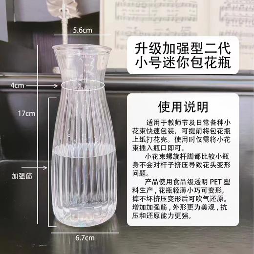 【琳琅】塑料迷你包花瓶 商品图0