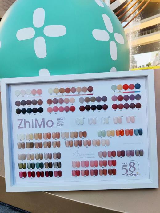 【秒杀价】58色“缤菓”四季透色 商品图4