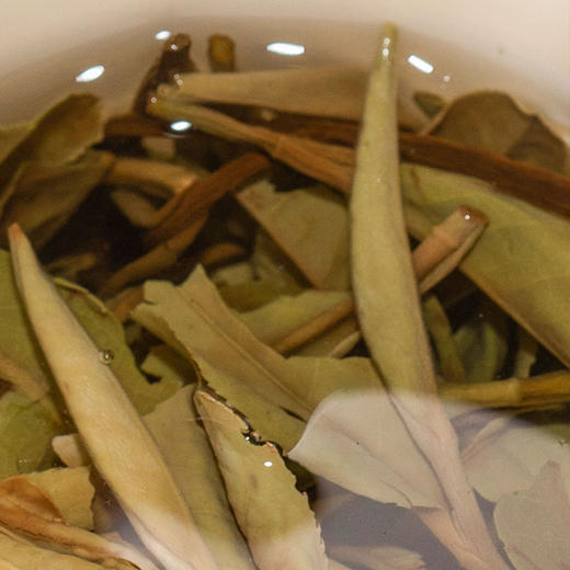 白茶 | 2023年绿雪芽369系列白牡丹50G小罐礼盒装 商品图2