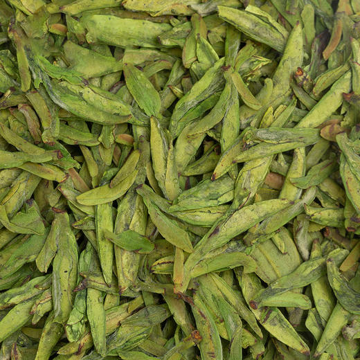 【新茶】醒世茶业丨大龙芽 宜宾早茶绿茶 四川绿茶 乌蒙山 明前特级 50g/100g （配试喝装） 商品图1