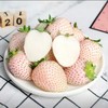 淡雪奶油草莓（斤） 商品缩略图1