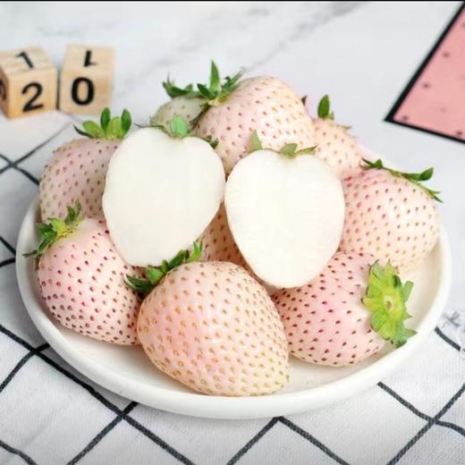 淡雪奶油草莓（斤） 商品图1