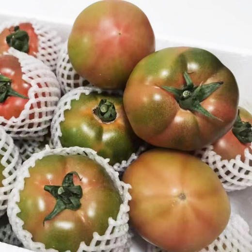 绿腚草莓水果小番茄4.8斤 商品图5