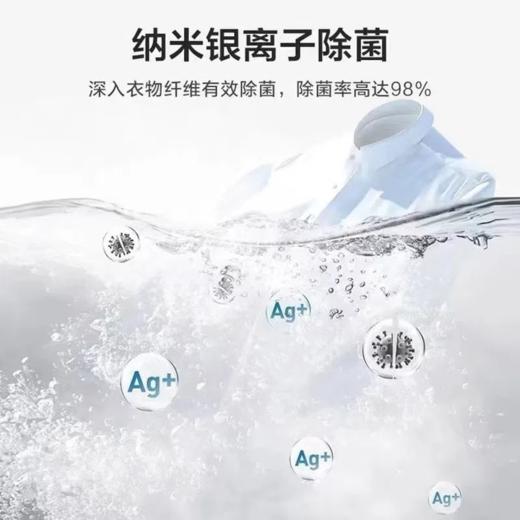 小天鹅 波轮洗衣机全自动 10kg大容量 洗脱一体 TB100VT615AWY 商品图4