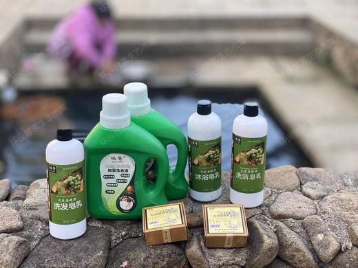 无患子洗衣液、皂乳 洗发水 沐浴露 易清洗 无残留 商品图1