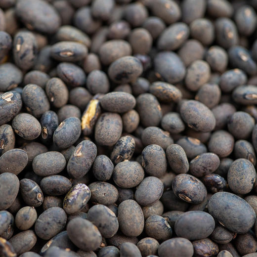 小黑豆咖啡（12g/袋*10袋/盒） 商品图4