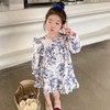 HNSBY31160 2023春秋新款女童碎花连衣裙韩版童装儿童宝宝荷叶花边长袖公主裙 商品缩略图0