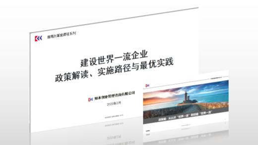 资料｜建设世界一流企业政策解读、实施路径与最优实践 商品图0
