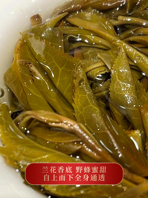 【曼松】2023年春茶重磅升级今年只采王子山片区1200年古树纯料古时贡茶片区 商品图9