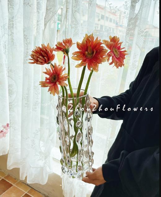 ins轻奢风电镀花瓶---海参 商品图2