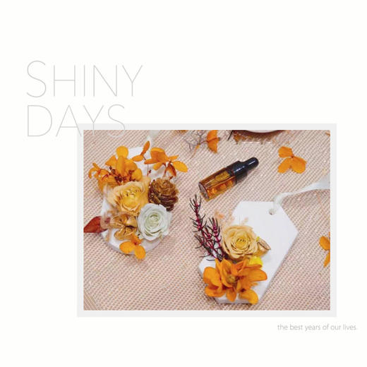 香薰石膏沙龙 商品图0