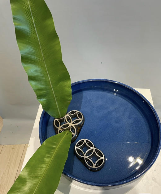 山苏叶【鸟巢叶】 约10片/扎 商品图1