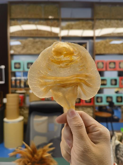 【赤嘴鳘鱼胶】挑时手工鱼胶/花胶 公胶脆爽 母胶软糯 商品图2