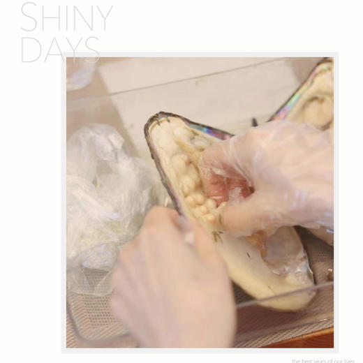 开蚌珍珠手工艺品制作沙龙 商品图3