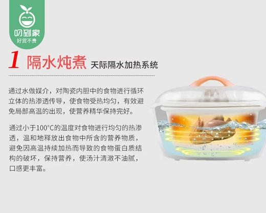 天际微电脑电炖盅DDZ-16A/1套（1.6L）补单专用 商品图2