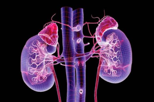 课八：腰椎间盘突出等各类骨科的调理方法 商品图0