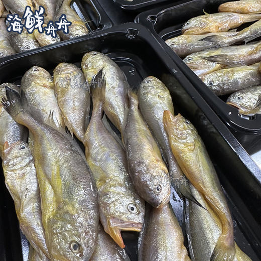 【野生】超低温东海梅童鱼 商品图4