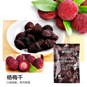 杨梅干40g |樱木良品 果脯