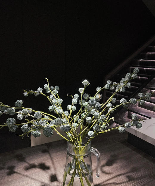 尤加利果，【可做干花】扎 商品图5