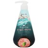 죽염 히말리야 핑크솔트 펌핑치약 아이스민트285g 商品缩略图0