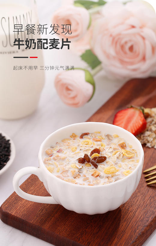 【中欧班列精选2袋】德国麦片 原装进口德国捷森水果/早餐麦片500g/1000g/袋 商品图5