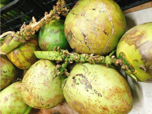 鲜椰子一个（拼团） 商品图1