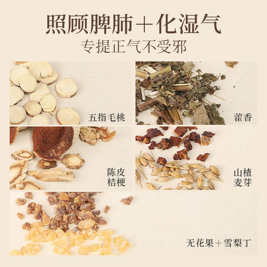 ☆【清正茶】草本配方 扶正养元 防护茶饮 商品图1