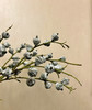 尤加利果，【可做干花】扎 商品缩略图1