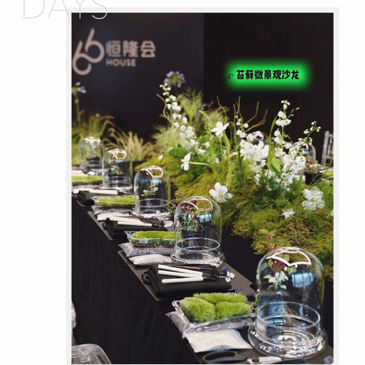 苔藓微景观沙龙 商品图2