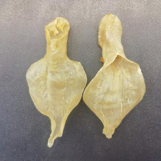 【本港白花胶】挑时手工鱼胶/花胶 商品图2