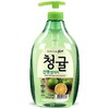 真绿色青橘洗洁精1kg참그린 청귤 주방세제 商品缩略图0