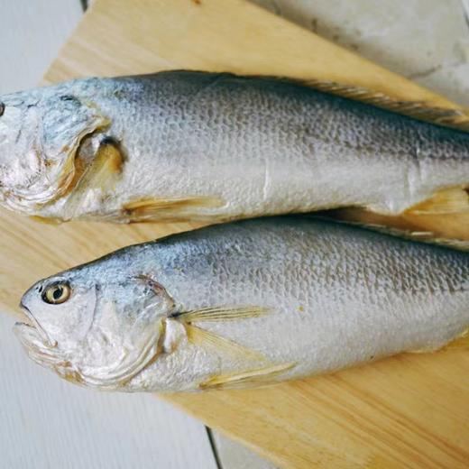 爱奥家黄花鱼500g올가푸드 참조기 商品图0