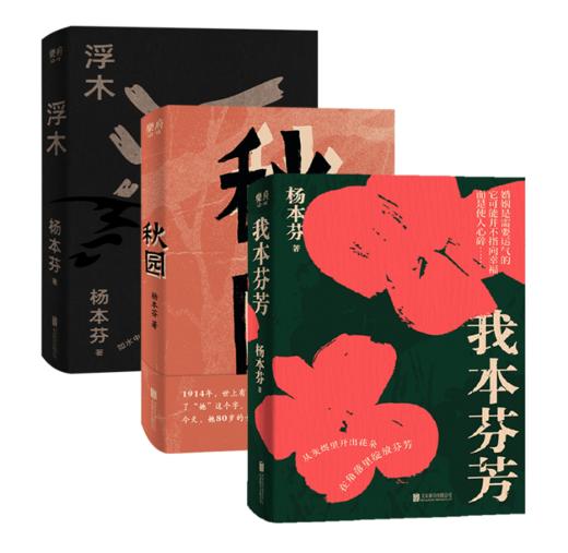 杨本芬女性三部曲 商品图2