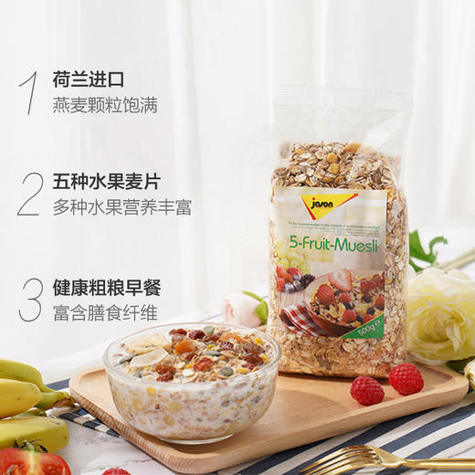 【中欧班列精选2袋】德国麦片 原装进口德国捷森水果/早餐麦片500g/1000g/袋 商品图2