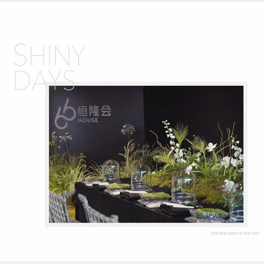 苔藓微景观沙龙 商品图3