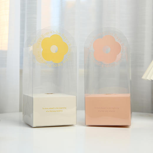 【特价款】遇见浪漫手提盒（5个/包）【18元20个提盒】 商品图8