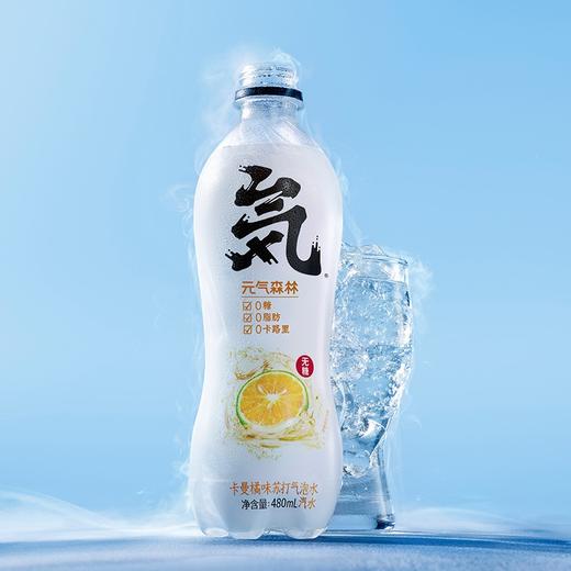 元气森林气泡水卡曼橘480ml 商品图0